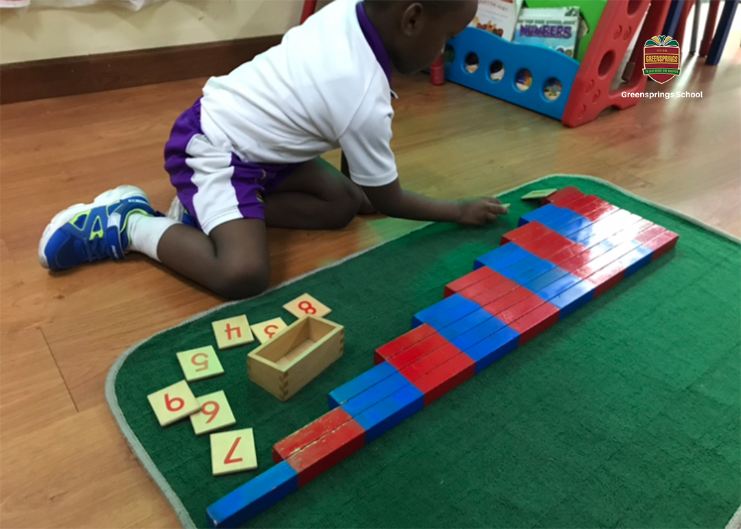 Top 5 Interesting Math Activities For Preschoolers — Greensprings School